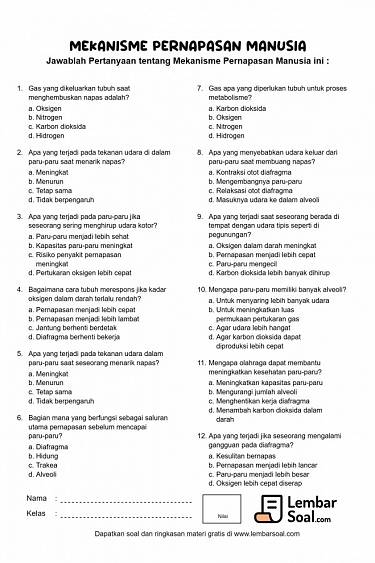 Gambar Soal Mekanisme Pernapasan Manusia