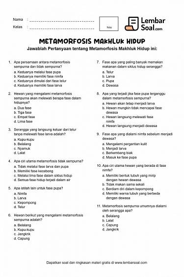 Gambar Soal Metamorfosis (Perubahan Bentuk Makhluk Hidup)