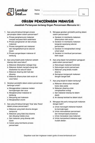 Gambar Soal Organ Pencernaan Manusia