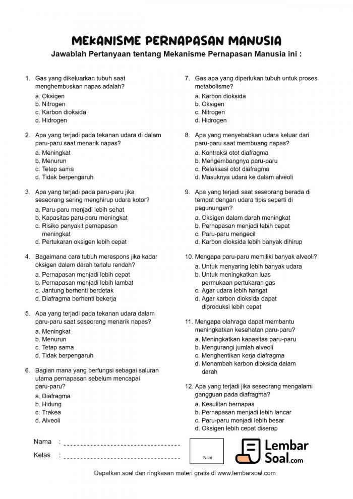 Gambar Soal Mekanisme Pernapasan Manusia