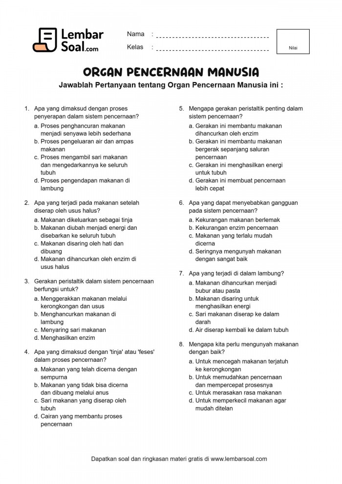 Gambar Soal Organ Pencernaan Manusia