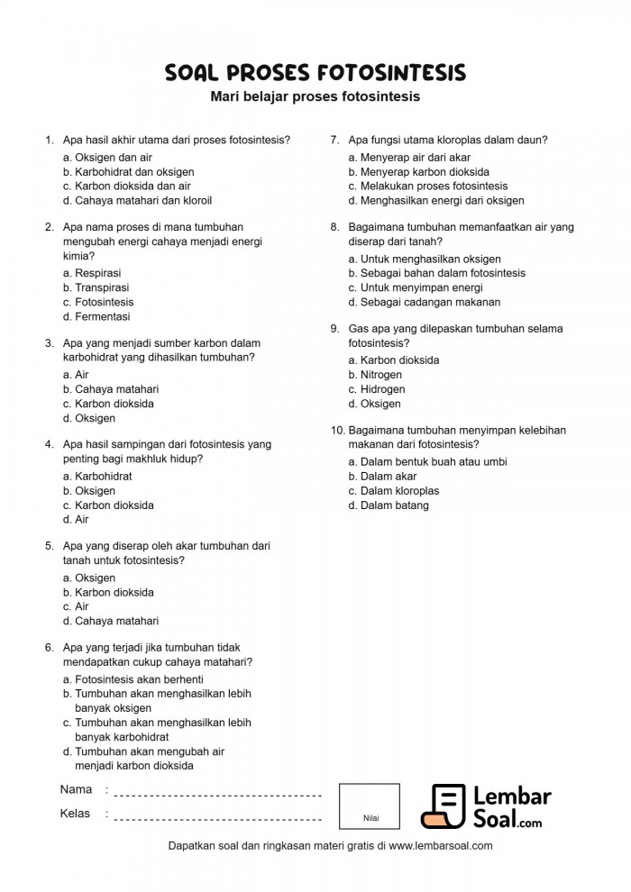 Gambar Soal Proses Fotosintesis